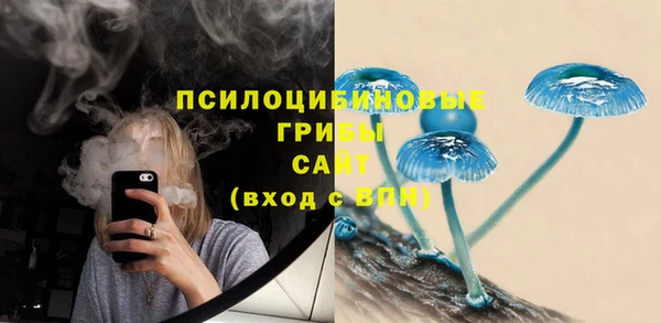 PSILOCYBIN Алзамай