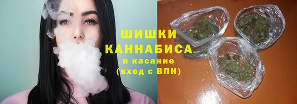 PSILOCYBIN Алзамай