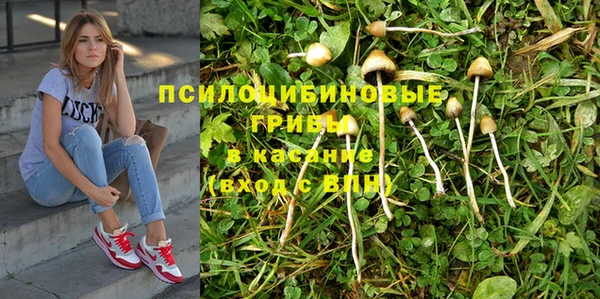 винт Алексеевка