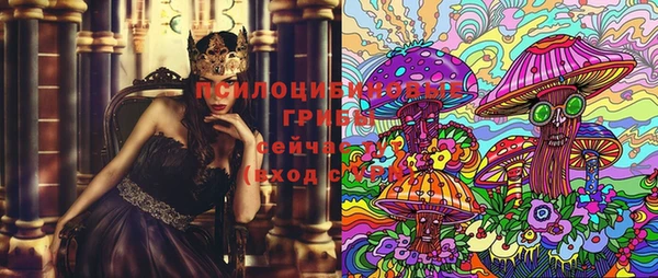 PSILOCYBIN Алзамай