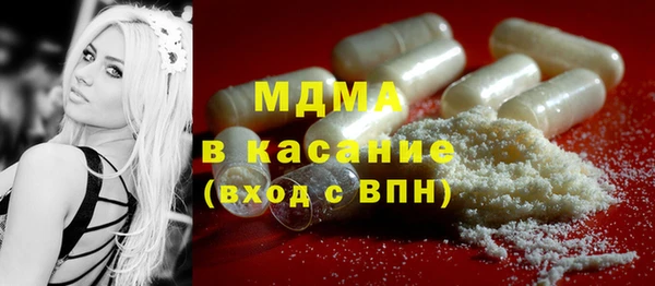 PSILOCYBIN Алзамай
