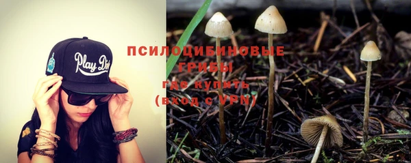 винт Алексеевка