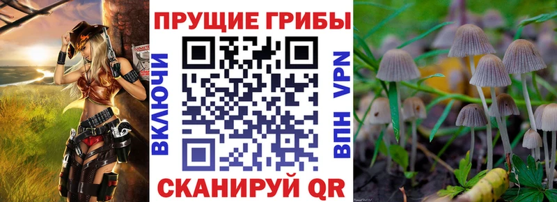 Галлюциногенные грибы GOLDEN TEACHER  мега рабочий сайт  Хвалынск 